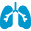 lungs icon