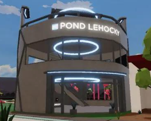 Pond Metaverse